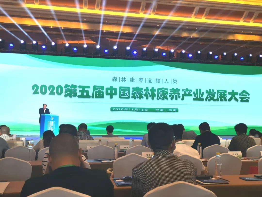 喜报！江油窦圌山景区荣获“全国森林康养基地试点建设单位”称号！